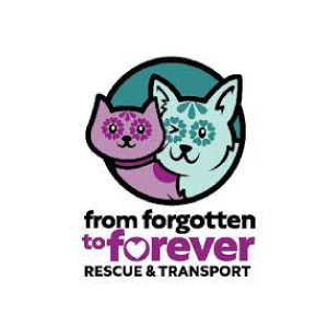 from-forgotten-to-forever