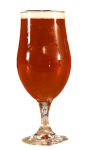 Tall glass of amber beer.